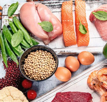 Importance of Protein